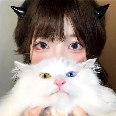 内容聚焦电影方向，叙述流畅，氛围稳定，在选片效率与观看体验之间取得了良好平衡。